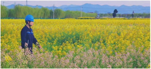 ������(�й�)��վ-AG�콢��