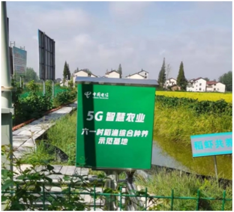������(�й�)��վ-AG�콢��
