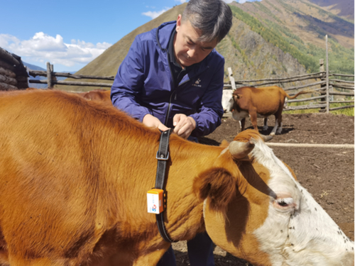 ������(�й�)��վ-AG�콢��