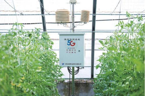 ������(�й�)��վ-AG�콢��