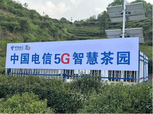 ������(�й�)��վ-AG�콢��