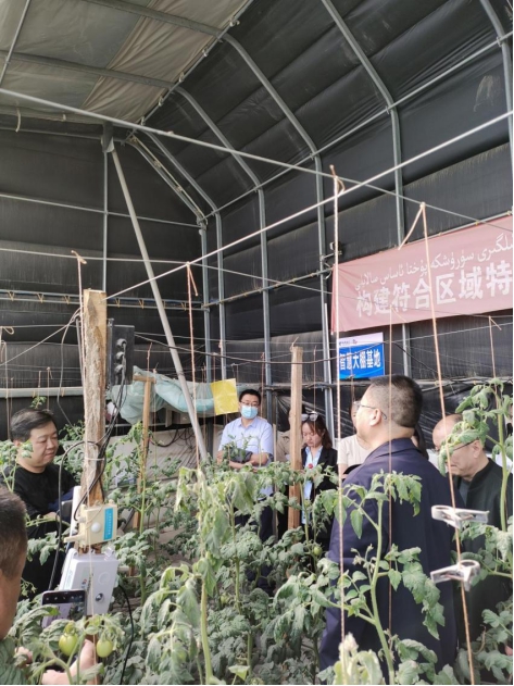 ������(�й�)��վ-AG�콢��