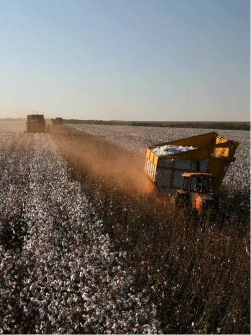 ������(�й�)��վ-AG�콢��