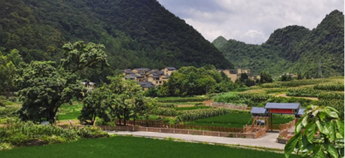 ������(�й�)��վ-AG�콢��