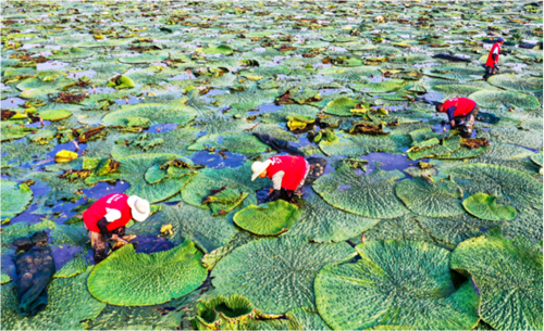 ������(�й�)��վ-AG�콢��