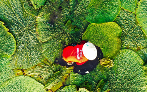 ������(�й�)��վ-AG�콢��