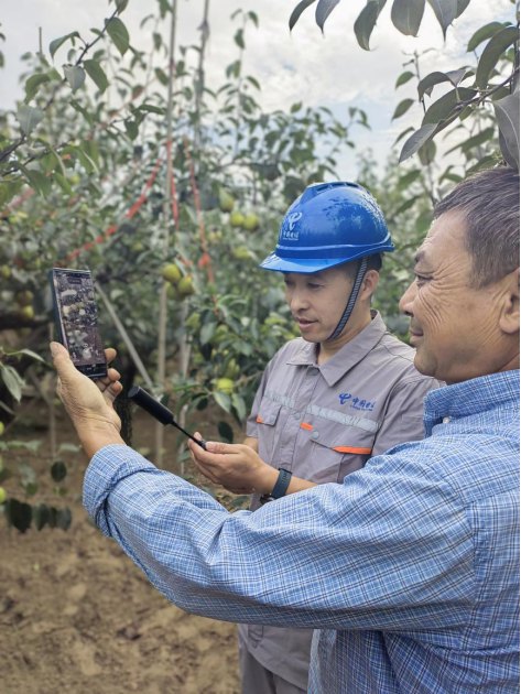 ������(�й�)��վ-AG�콢��