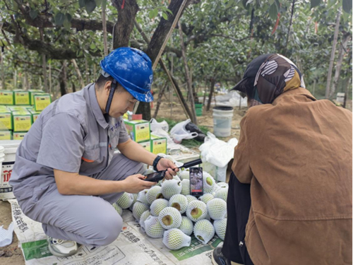 ������(�й�)��վ-AG�콢��