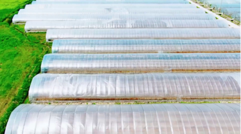 ������(�й�)��վ-AG�콢��