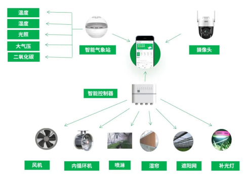 ������(�й�)��վ-AG�콢��