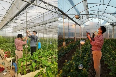 ������(�й�)��վ-AG�콢��