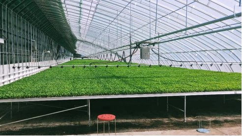 ������(�й�)��վ-AG�콢��