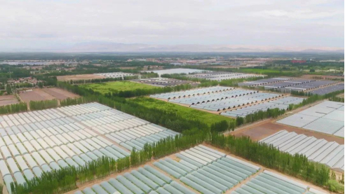 ������(�й�)��վ-AG�콢��