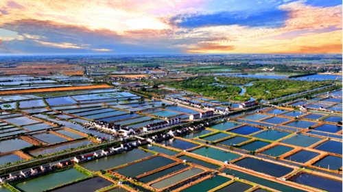 ������(�й�)��վ-AG�콢��