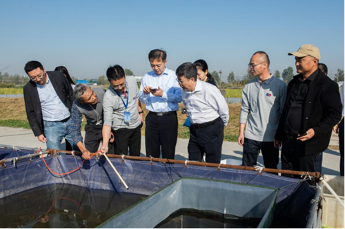 ������(�й�)��վ-AG�콢��