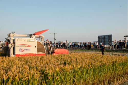 ������(�й�)��վ-AG�콢��