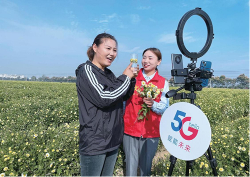 ������(�й�)��վ-AG�콢��