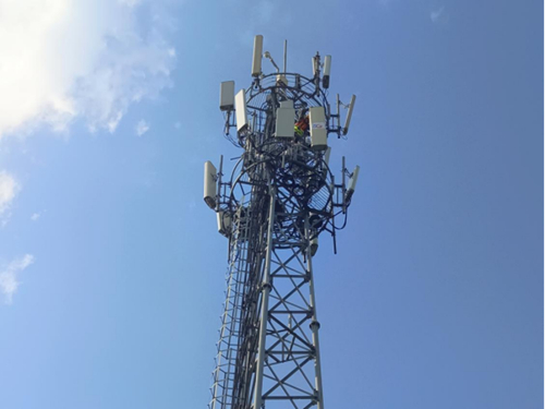 ������(�й�)��վ-AG�콢��