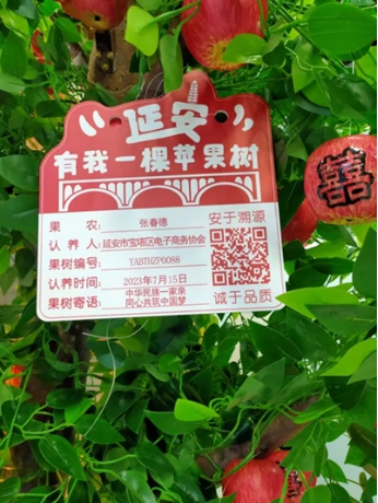 凯发·(中国)网站-AG旗舰厅