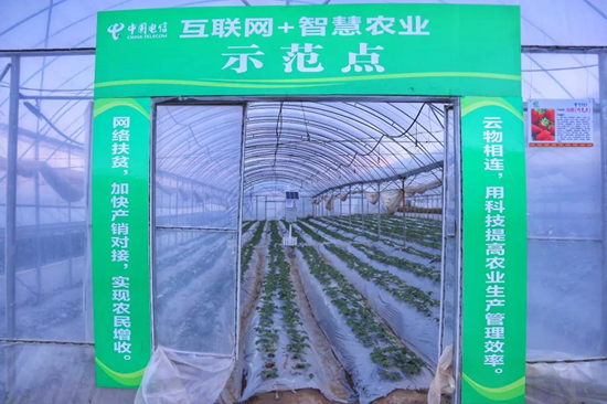 ������(�й�)��վ-AG�콢��