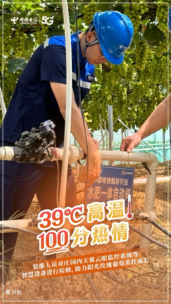 ������(�й�)��վ-AG�콢��