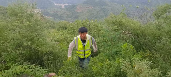 ������(�й�)��վ-AG�콢��